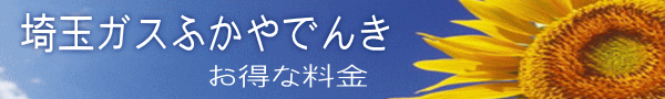 お得な料金